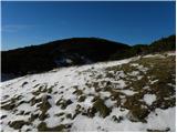 Planina Ravne - Kapelica na Molički planini